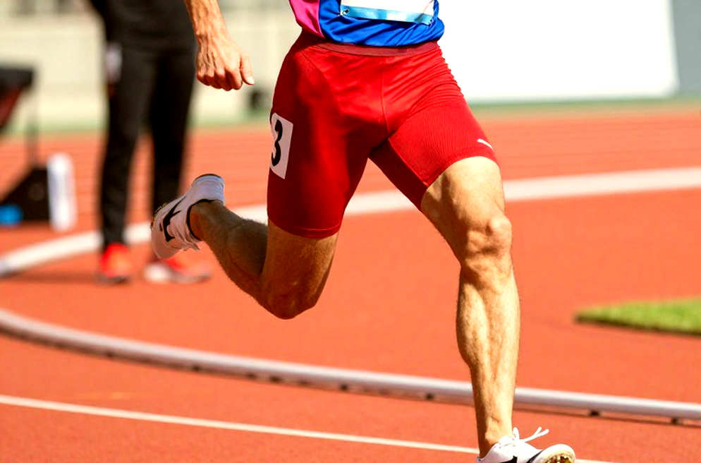 Global Gate Ha Long 2026: 15,000 Race Slots, Three Distances, and a Record Without a Measuring Tape Global Gate Ha Long 2026: 15,000 Race Slots, Three Distances, and a Record Without a Measuring Tape
