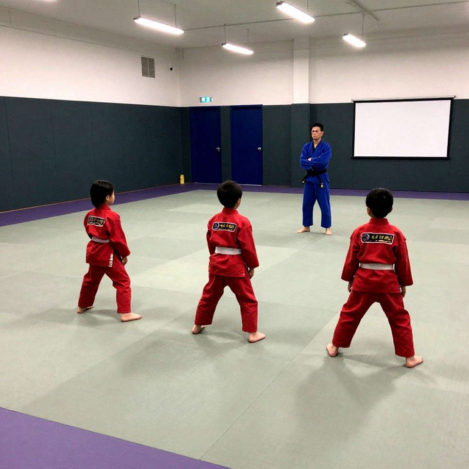 From Sydney 2026 to the MMA Cage: Vietnamese Martial Arts and Eight Unmeasured Blind Spots
