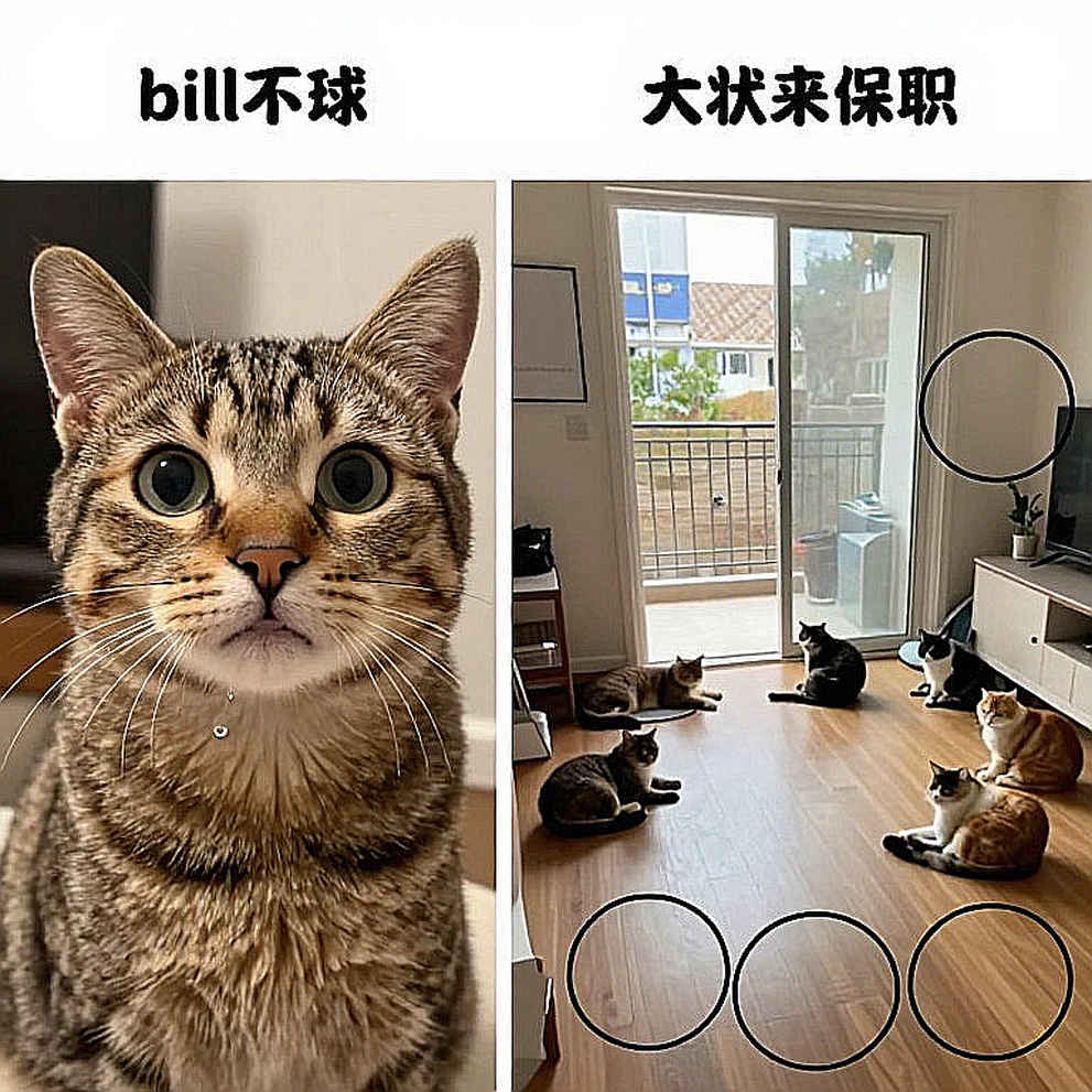 Khoảng trống dữ liệu của làng bi-a: Khi sự im lặng đắt hơn mọi bản hợp đồng